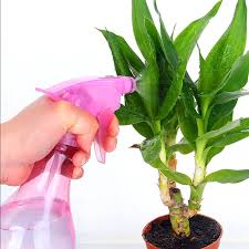 اصول صحیح غبارپاشی گیاهان